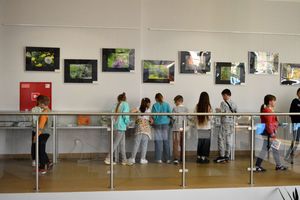 Grupa dzieci ogląda wystawy w Galerii Suplement Biblioteki Głównej