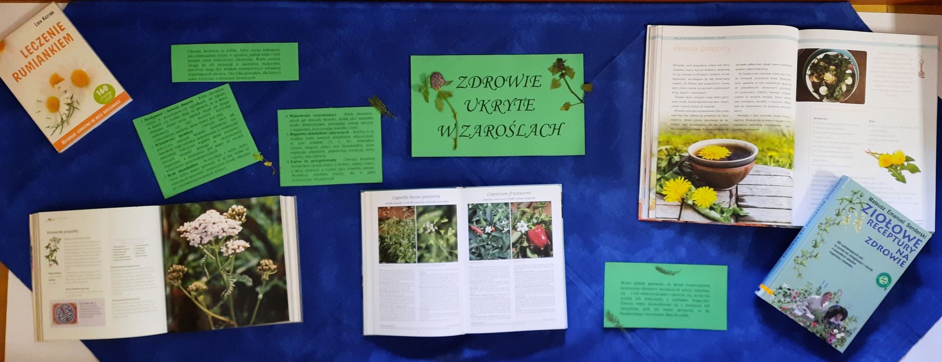 Wystawa &quot;Zdrowie ukryte w zaroślach&quot; zorganizowana w Bibliotece Wydziału Technologii i Inżynierii Chemicznej &quot;Stara Chemia&quot;