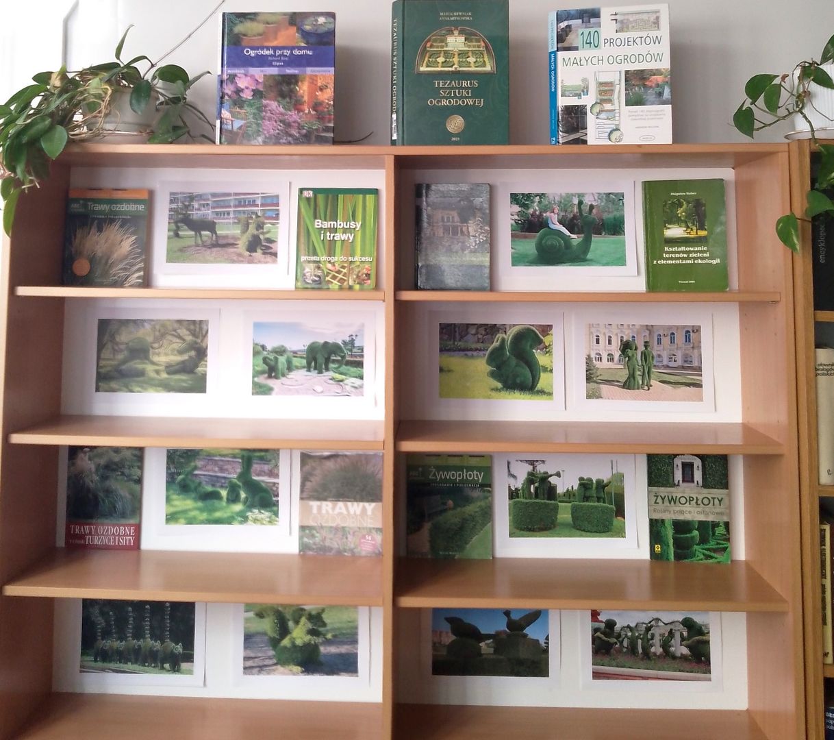 Fragment wystawy&quot;Topiary - formy roślinne budujące przestrzeń&quot;