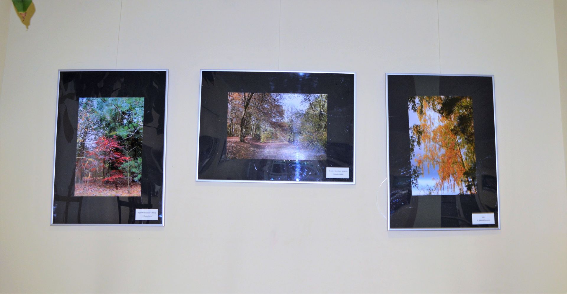 Trzy fotografie prezentowane na wystawie &quot;Barwy jesieni&quot;