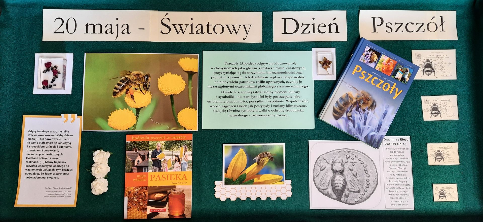 Wprowadzenie do śwaita pszczół - literatura