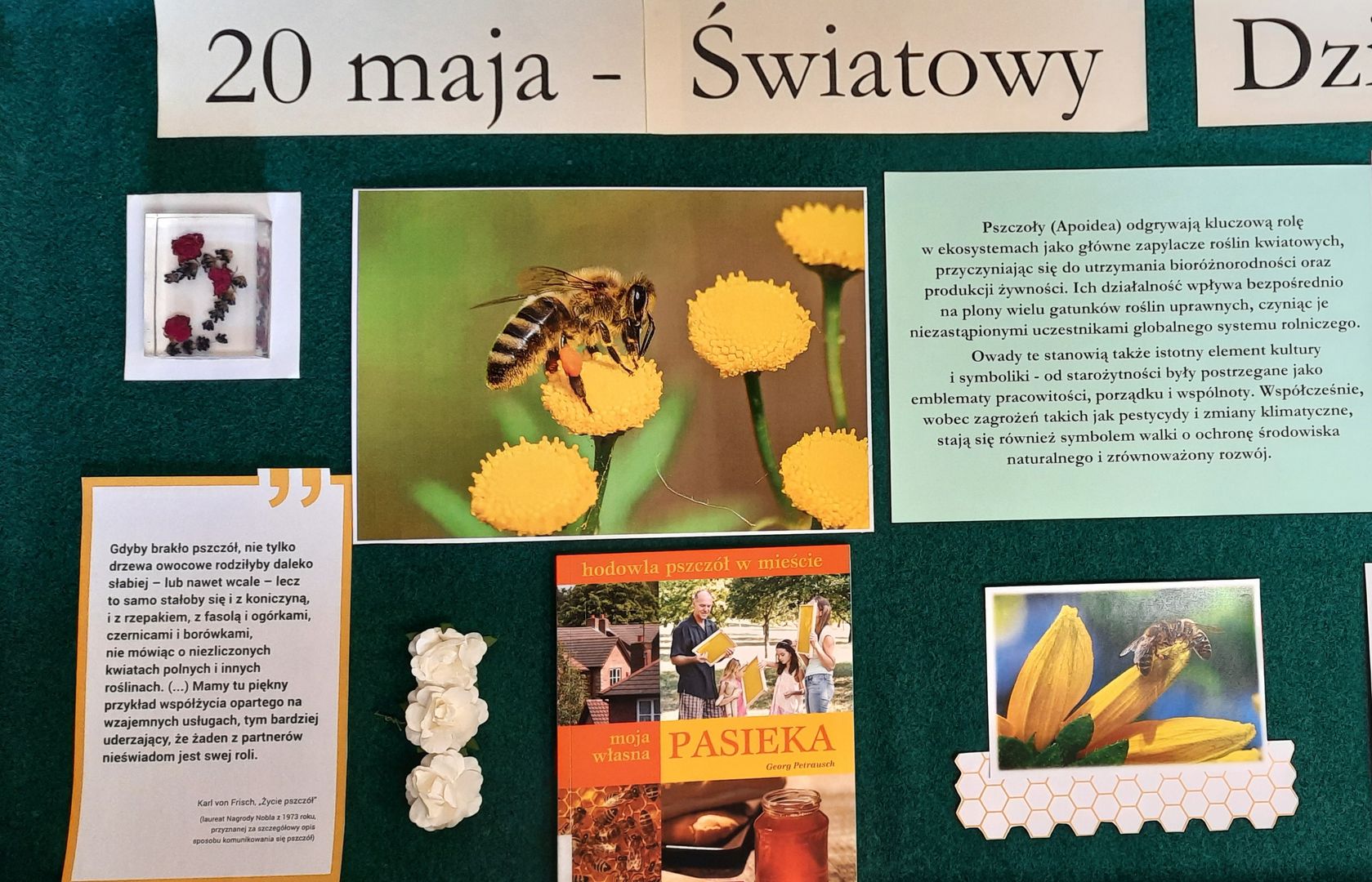 Gdyby zabrakło pszczół - informacje