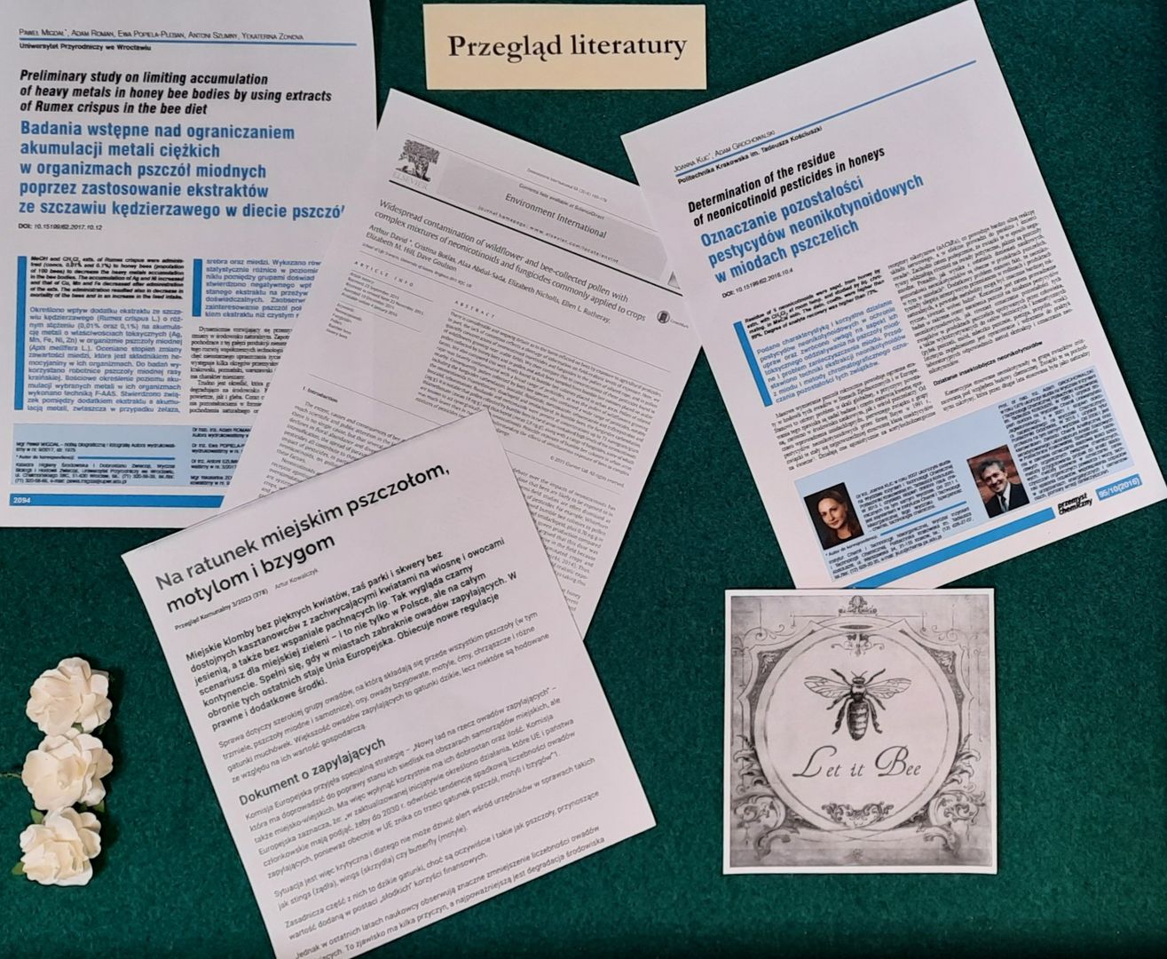 Artykuły w czasopismach nt. pomocy dla pszczół
